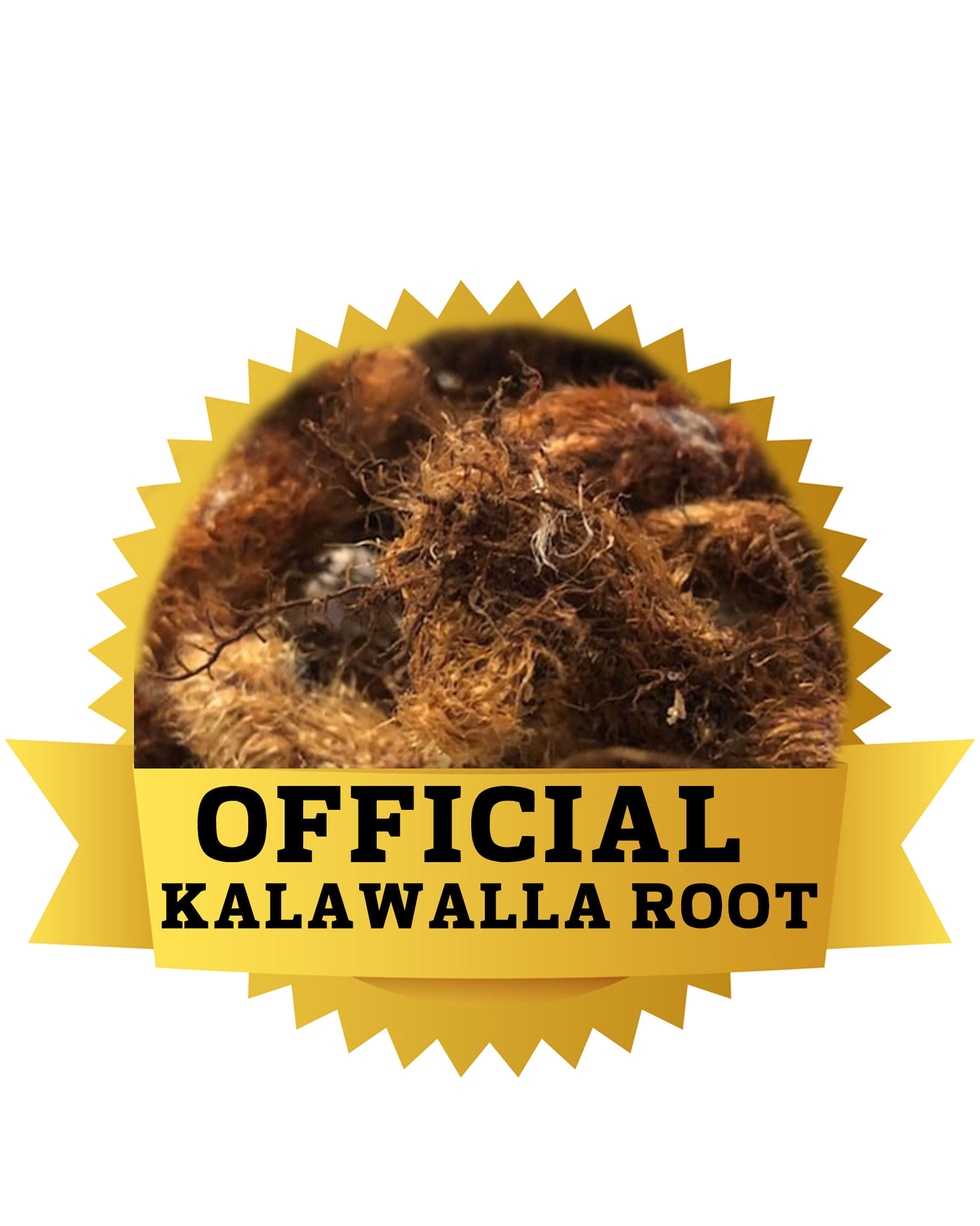 OFFICIAL KALAWALLA ROOT capsules – OFFICIAL HERBZ health