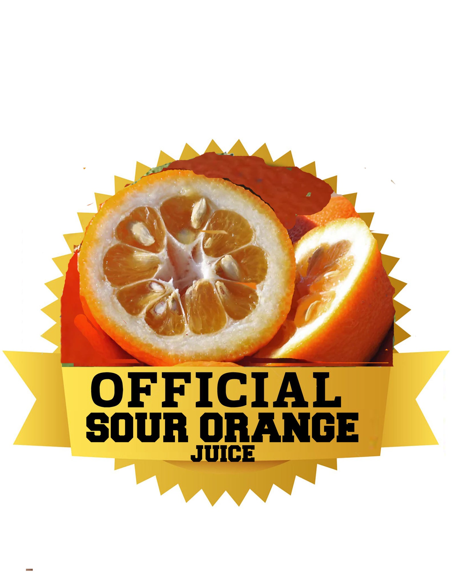 SMOOTHIE CUP KIT OFFICIAL SOUR ORANGE [unsweetened juice] (powdered ju –  OFFICIAL HERBZ health & wellness center